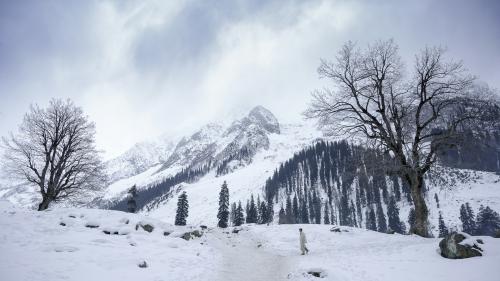 Srinagar Sonamarg Pahalgam Gulmarg Tour