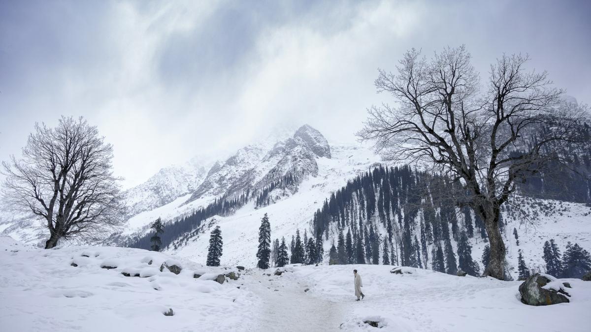 Srinagar Sonamarg Pahalgam Gulmarg Tour
